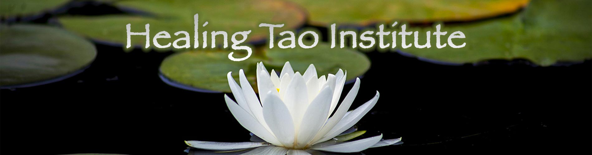 Healing Tao Institute